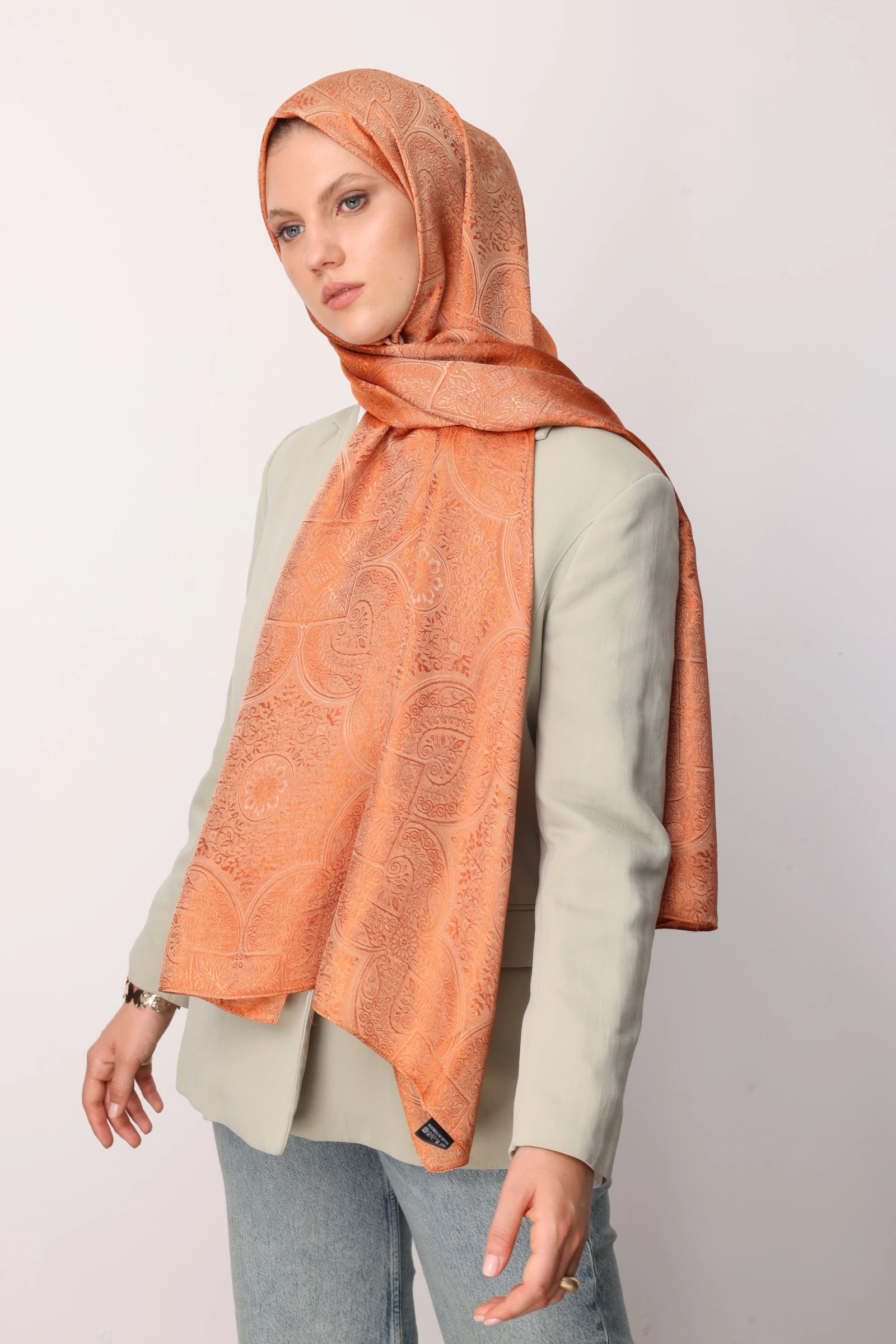 Vera Desen Shine Line Şal - Vizon-Tarçın